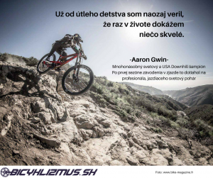 Aaron Gwin - bicyklizmus.sk